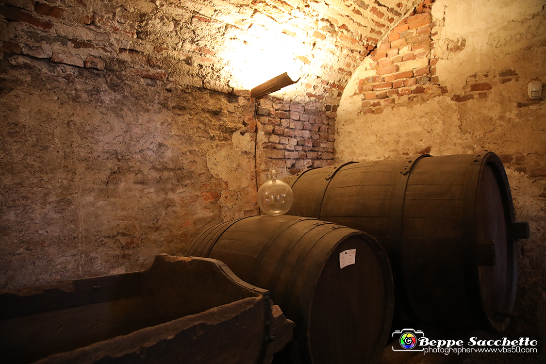 VBS_7441 - Inaugurazione Messer Tulipano 2022 Castello di Pralormo - XXII Edizione.jpg